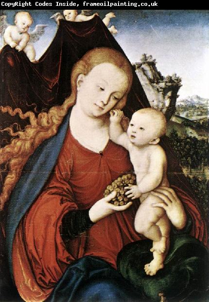 CRANACH, Lucas the Elder Madonna and Child fgd142